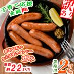 ふるさと納税 志布志市 【訳あり・業務用】パリッとジューシー!恵みウインナー 計2kg(1kg×2袋) a0-151