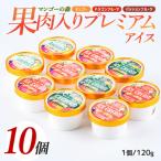 ゴロゴロ果肉入りプレミアムアイス10個セット