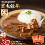 指宿育ち 黒毛姫牛 ALOHA スパイスカレー200g×5袋セット