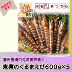 お届けオーダーメイド 東興のくるまえび600g×5回