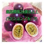高糖度 パッションフルーツ 約1kg