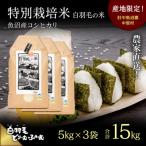 令和8年産 農家直送 魚沼産こしひかり 特別栽培米