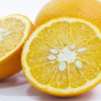 甘熟甘夏 約8kg