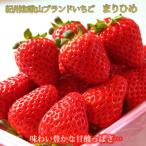 ふるさと納税 紀美野町 紀州和歌山ブランドいちご「まりひめ」約250g×4P