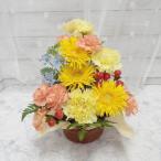 お任せ アレンジメント 生花 イエロー系