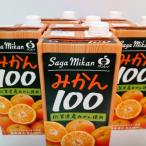 ふるさと納税 吉野ヶ里町 サンレイのみかんジュース「みかん100」1000ml×6本