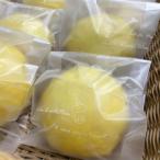 レモンケーキ 10個入AHCR003