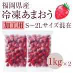 冷凍いちご 博多あまおう 1kg×2セット