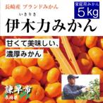 ふるさと納税 諫早市 【先行予約】《伊木力みかん》家庭用みかん(5kg)