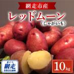 ふるさと納税 網走市 秋の収穫美味レッドムーンじゃがいも 10kg