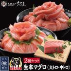 生本マグロ 大トロと中トロ 2種セット 合計300g