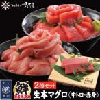 生本マグロ 中トロと赤身 2種セット 合計300g