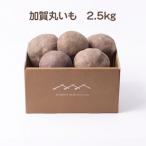 加賀伝統野菜 令和8年度産 加賀丸いも 2.5kg