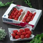 春にお届け 福岡産はるあまおう3パック