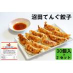 ふるさと納税 沼田市 沼田てんぐ餃子30個入×2セット