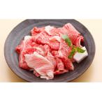 ふるさと納税 神戸市 【冷蔵便】神戸牛専門店の贅沢まかない肉(500g)