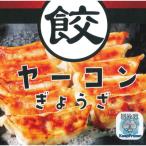 特産を使ったヤーコン餃子 60個