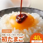 放し飼いたまご かぐやひめ 40個