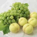 ショッピングふるさと納税 シャインマスカット ふるさと納税 津山市 ◆先行受付◆　岡山白桃とシャインマスカット　2026年発送