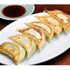 ふるさと納税 高岡市 みんみんの餃子120個