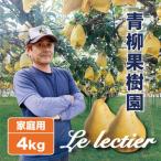 ふるさと納税 加茂市 「青柳果樹園のルレクチェ」 西洋梨 良品家庭用 4kg(9〜11玉)|ふるさと納税 冬限定新潟の味覚