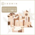 桧のおもちゃ IKONIH Buildind