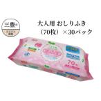LD-212 大人用 からだふき 70枚