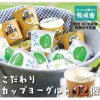 飛騨の牛乳屋 牧成舎のこだわりカップヨーグルト12点セット