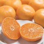 佐賀産かんきつ せとか 約1.5kg