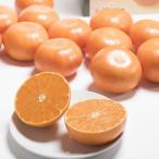 佐賀産高級かんきつ はまさき 約3kg箱