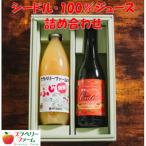 シードル 100%りんごジュース詰め合わせ