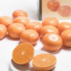 佐賀産高級かんきつ はまさき 約3kg箱