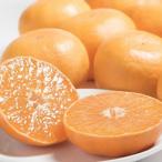 佐賀産かんきつ せとか 約3kg