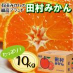 訳あり 森本農園の手選別 極早生みかん 約10kg