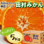 有田の小粒みかん 約5kg