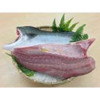 養殖ハマチ カマ付きフィレ