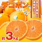 水俣産デコポン 約3kg