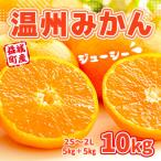 温州みかん 約10kg