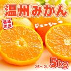 温州みかん 約5kg