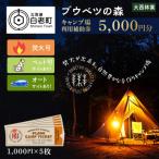 キャンプ場 利用補助券 ブウベツの森 8000円分