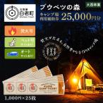 キャンプ場 利用補助券 ブウベツの森 20,000円分