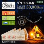 キャンプ場 利用補助券 ブウベツの森 30,000円分