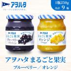 まるごと果実 ブルーベリー マンゴー オレンジ 各3瓶