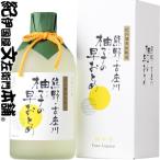 尾崎酒造の熊野 古座川 柚子の早おとめ 500ml×6本
