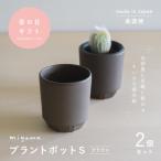 母の日の鉢植え 花のある暮らしを手軽に