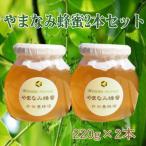 はちみつ やまなみ蜂蜜2本セット