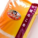 七城のこめ精米5kg×3袋