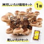 fu.... налог бог река блок бог река .... культивирование комплект (..... пол )1 шт ...... комплект *10 месяц ~4 месяц отправка 