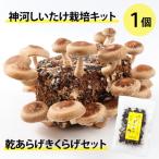 fu.... налог бог река блок бог река .... культивирование комплект (..... пол )1 шт .. ах . иудино ухо комплект *10 месяц ~4 месяц отправка 