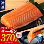 ふるさと納税 泉佐野市 アトランティックサーモン ポーション 370g 小分け 2パック nbj0002